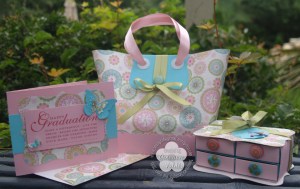 OLYMPUS DIGITAL CAMERA Graduation gift tote set