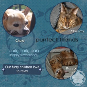 Winter blues page Blue pet scrapbook page