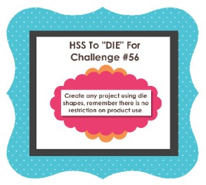 HSS challenge 56