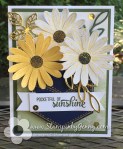 Stampin Up Pocketful of&nbsp;Sunshine