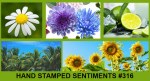 Hand Stamped Sentiments 316 Inspiration&nbsp;Challenge